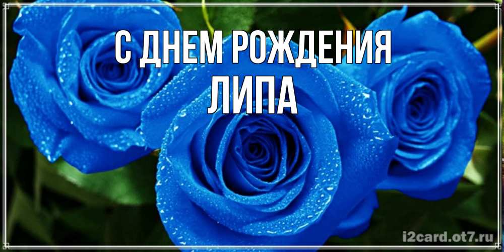 Открытка на каждый день с именем, ЛИПА С днем рождения розы с синим цветом Прикольная открытка с пожеланием онлайн скачать бесплатно 