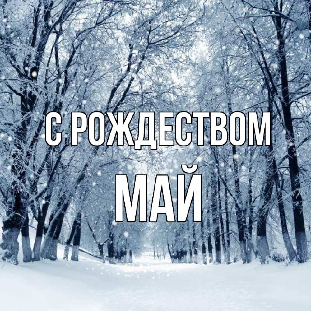 Открытка на каждый день с именем, Май С рождеством снег, лес, парк Прикольная открытка с пожеланием онлайн скачать бесплатно 