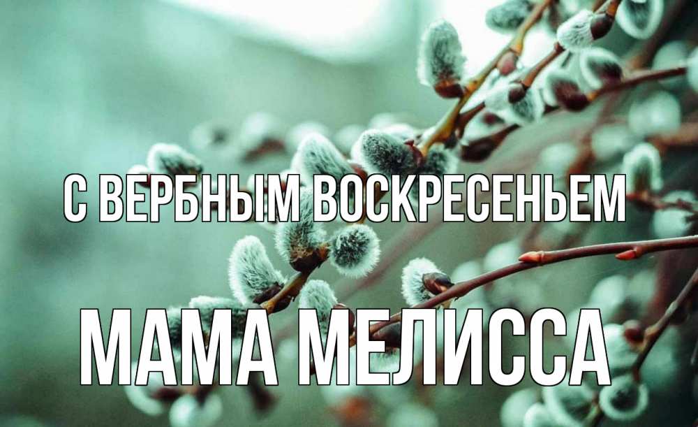 Открытка на каждый день с именем, Мама-Мелисса С вербным воскресеньем верба Прикольная открытка с пожеланием онлайн скачать бесплатно 