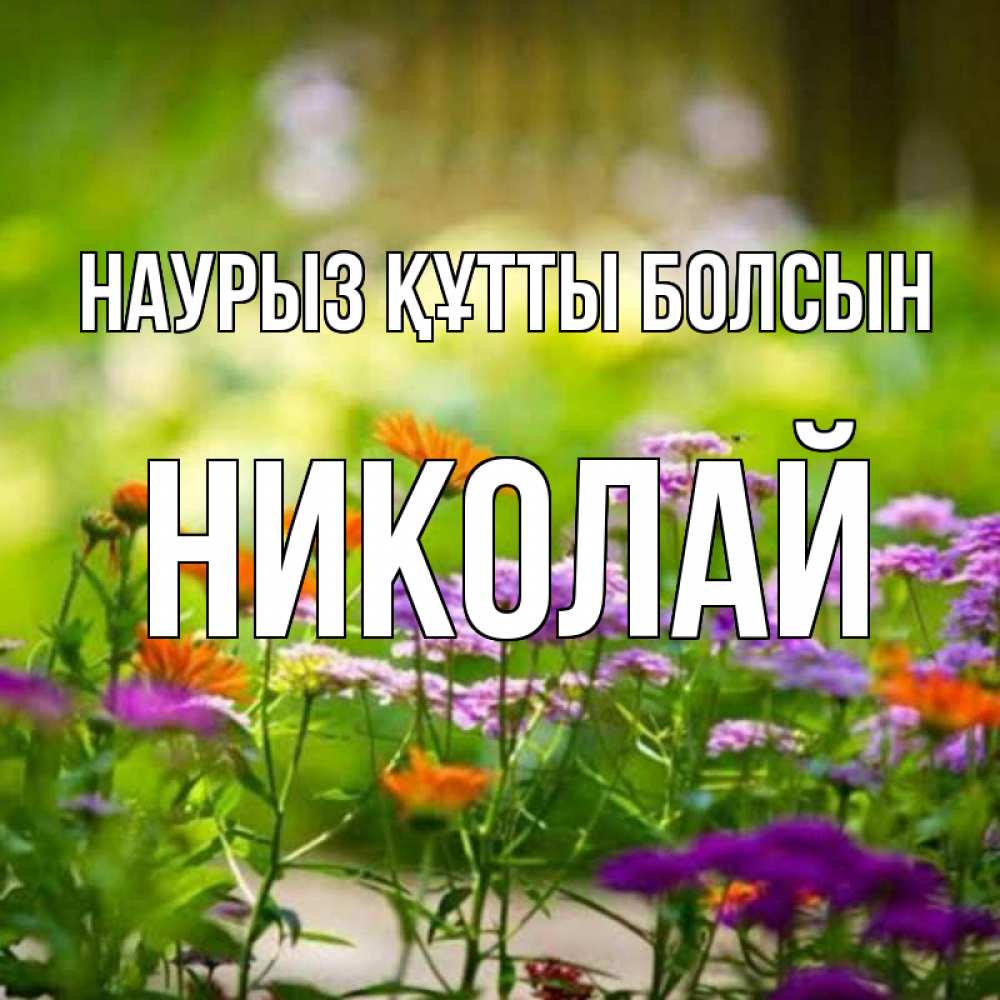 Открытка на каждый день с именем, Николай Наурыз құтты болсын цветы Прикольная открытка с пожеланием онлайн скачать бесплатно 