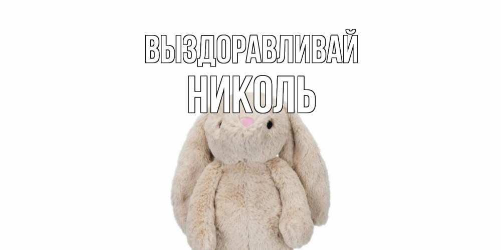Открытка на каждый день с именем, Николь Выздоравливай не болей Прикольная открытка с пожеланием онлайн скачать бесплатно 