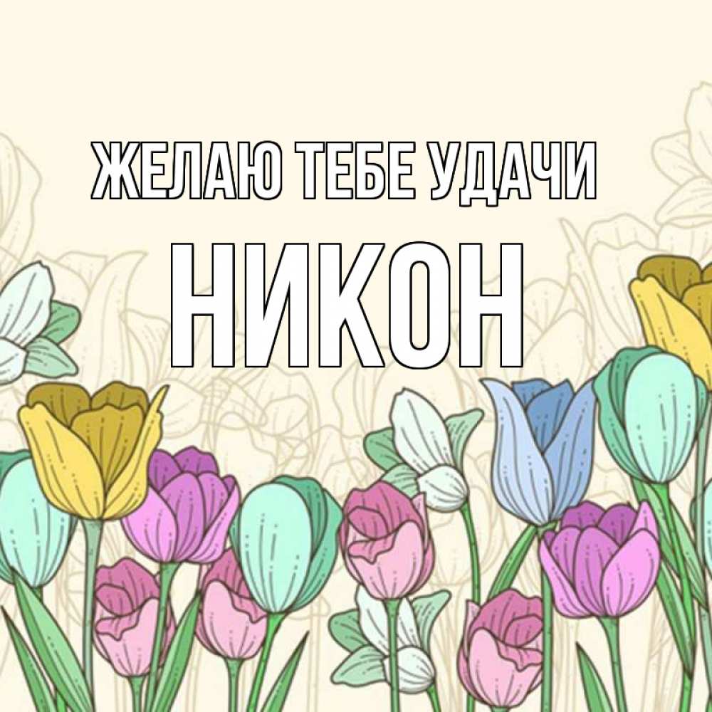 Открытка на каждый день с именем, Никон Желаю тебе удачи тюльпаны Прикольная открытка с пожеланием онлайн скачать бесплатно 