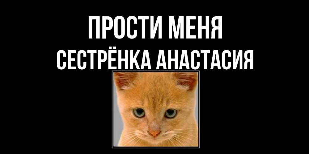 Открытка на каждый день с именем, Сестрёнка-Анастасия Прости меня рыжий грустный кот просит прощения Прикольная открытка с пожеланием онлайн скачать бесплатно 