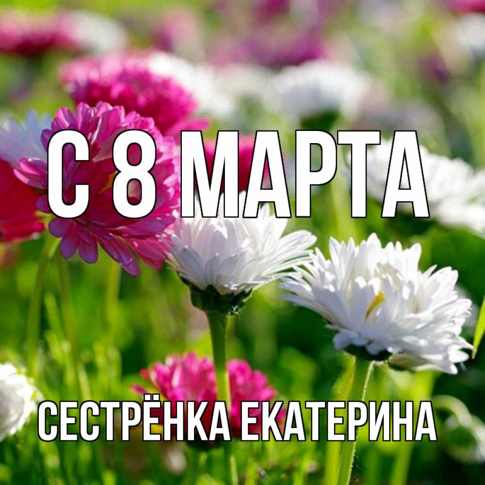 Открытка на каждый день с именем, Сестрёнка-Екатерина С 8 МАРТА международный женский день 1 Прикольная открытка с пожеланием онлайн скачать бесплатно 