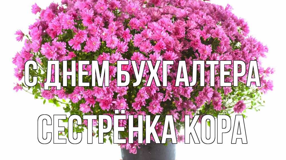 Открытка на каждый день с именем, Сестрёнка-Кора С днем бухгалтера с днем бухгалтера Прикольная открытка с пожеланием онлайн скачать бесплатно 