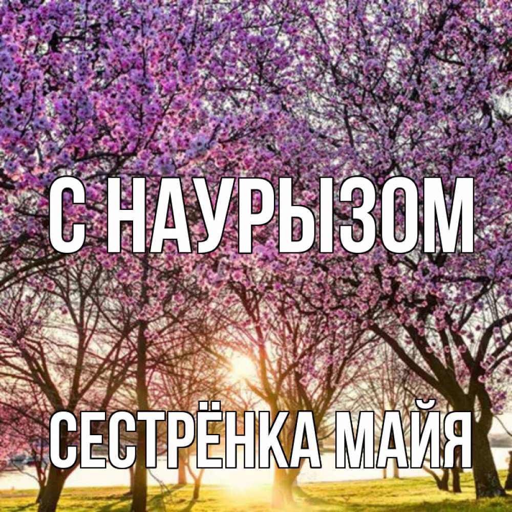 Открытка на каждый день с именем, Сестрёнка-Майя С наурызом праздник весны наурыз Прикольная открытка с пожеланием онлайн скачать бесплатно 