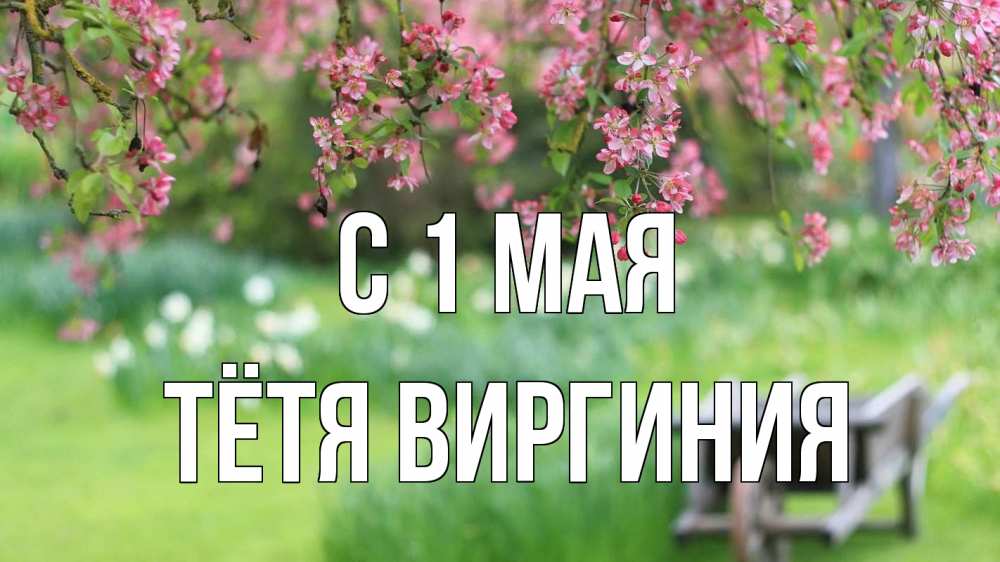 Открытка на каждый день с именем, Тётя-Виргиния С 1 мая С 1 мая Прикольная открытка с пожеланием онлайн скачать бесплатно 