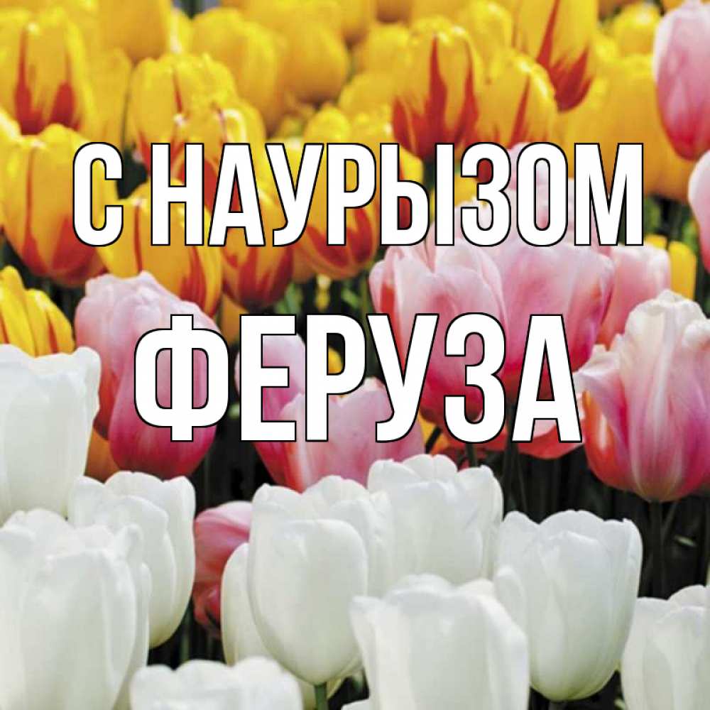 Открытка на каждый день с именем, Феруза С наурызом разноцветные цветы Прикольная открытка с пожеланием онлайн скачать бесплатно 