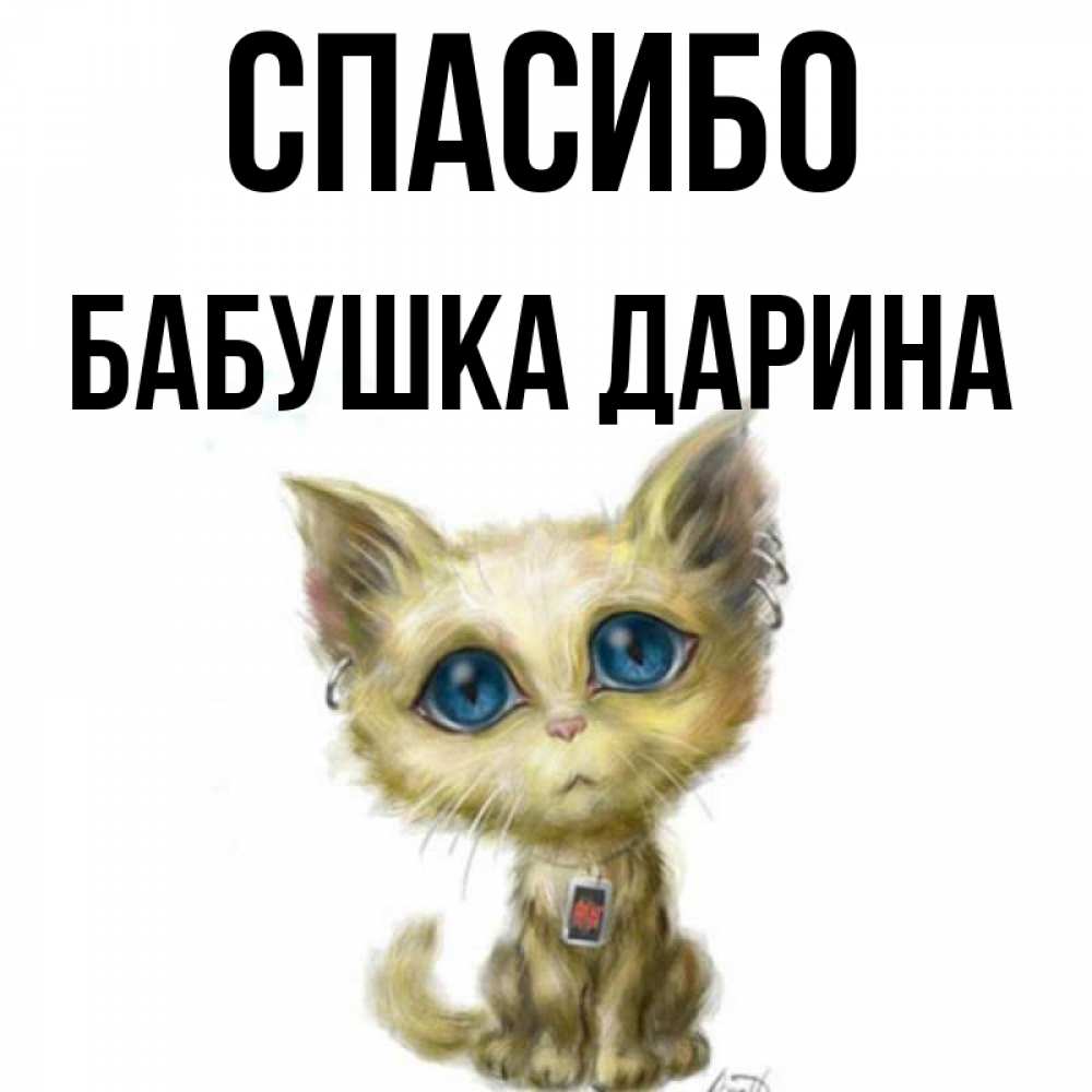 Открытка на каждый день с именем, Бабушка-Дарина Спасибо рисованный кот благодарит вас Прикольная открытка с пожеланием онлайн скачать бесплатно 