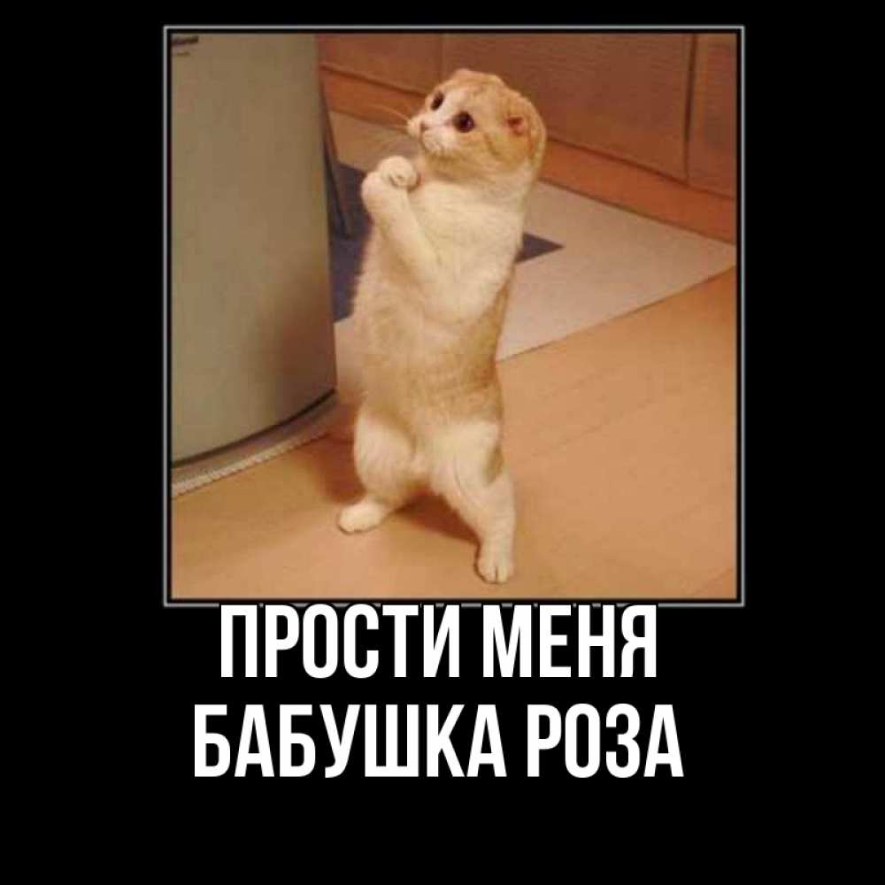 Открытка на каждый день с именем, Бабушка-Роза Прости меня открытка с милым несчастным котиком просящим прощения Прикольная открытка с пожеланием онлайн скачать бесплатно 