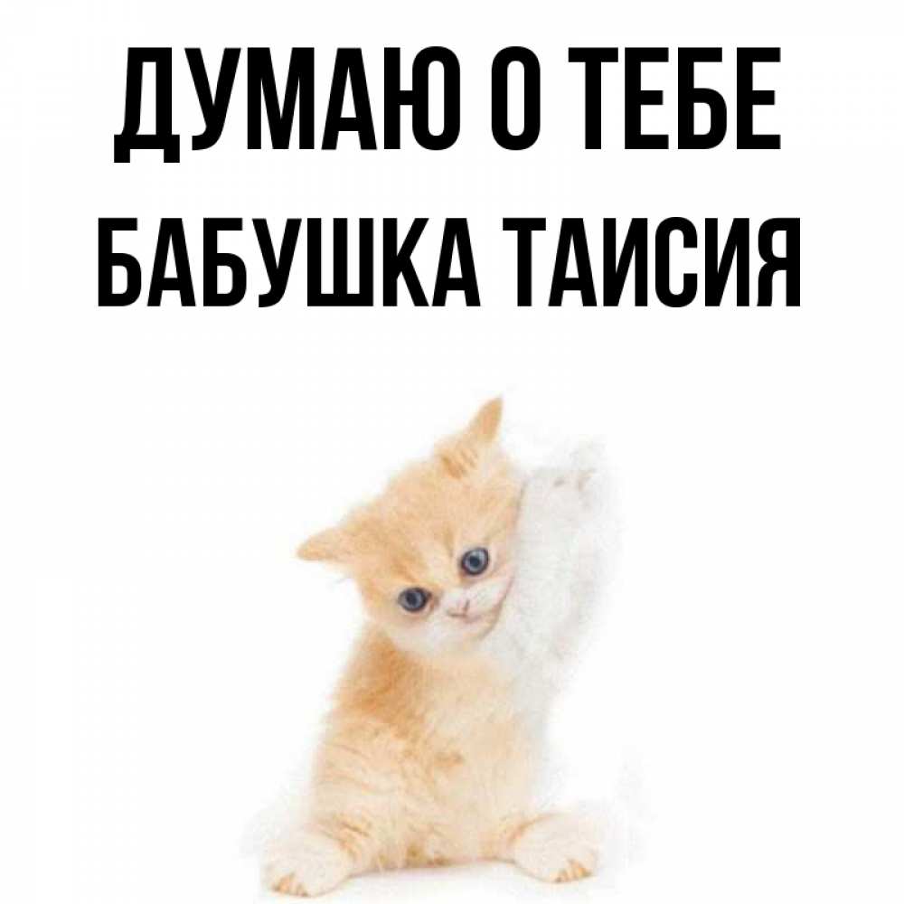 Открытка на каждый день с именем, Бабушка-Таисия Думаю о тебе зверушки и милота Прикольная открытка с пожеланием онлайн скачать бесплатно 