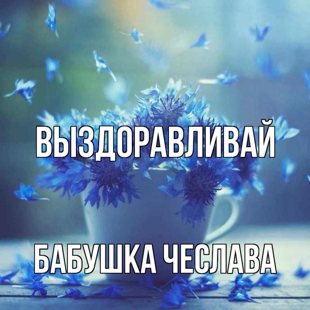 Открытка на каждый день с именем, Бабушка-Чеслава Выздоравливай кружка с зельем и цветами Прикольная открытка с пожеланием онлайн скачать бесплатно 
