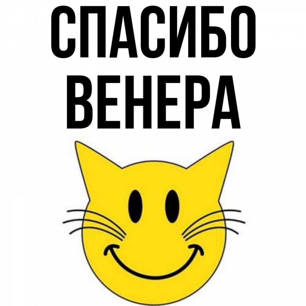 Открытка на каждый день с именем, Венера Спасибо улыбающийся смайл кот Прикольная открытка с пожеланием онлайн скачать бесплатно 
