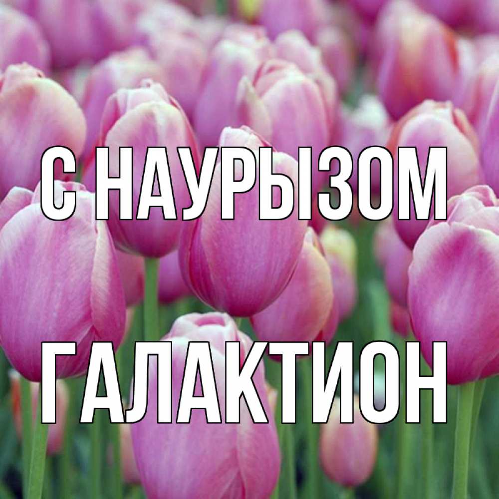 Открытка на каждый день с именем, Галактион С наурызом праздник весны наурыз 69 Прикольная открытка с пожеланием онлайн скачать бесплатно 