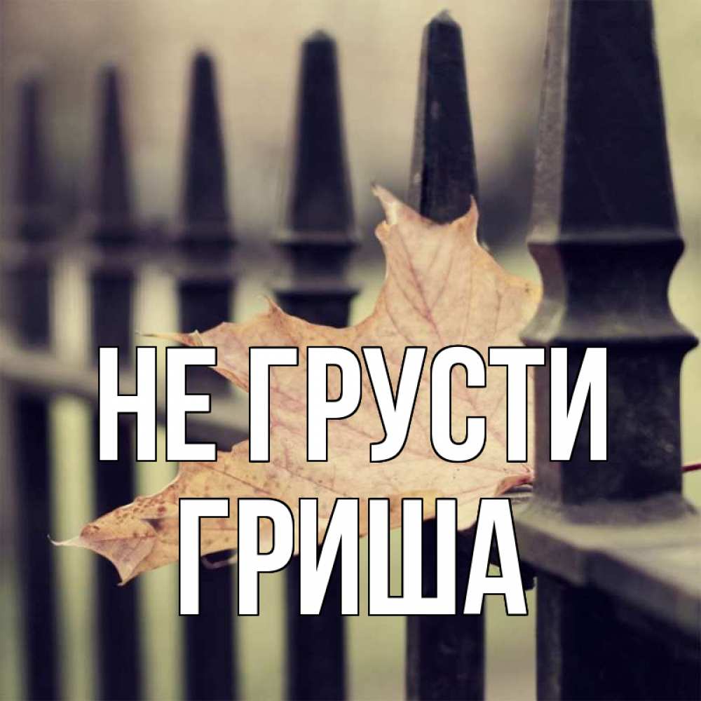 Открытка на каждый день с именем, Гриша Не грусти лист клена Прикольная открытка с пожеланием онлайн скачать бесплатно 