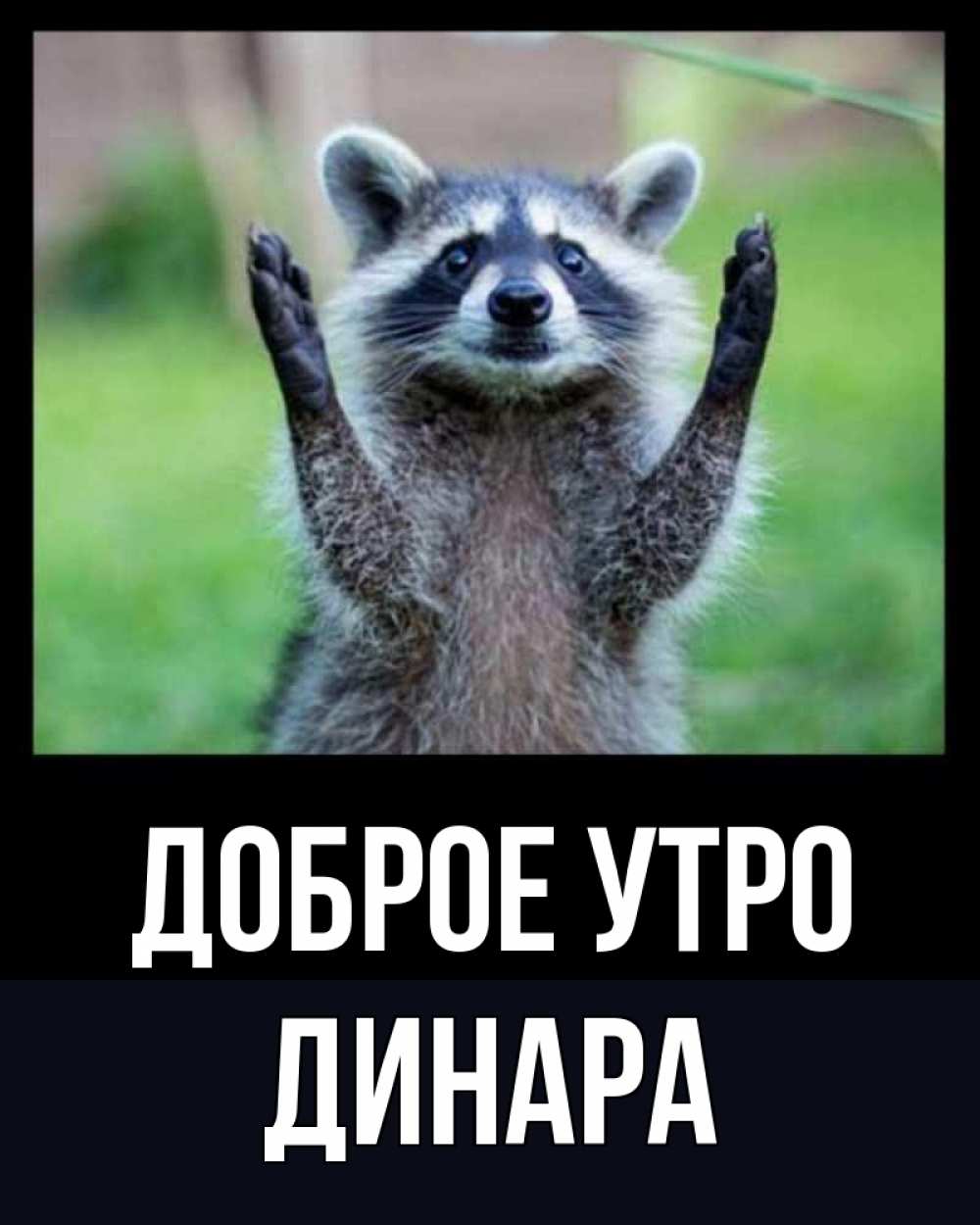 Открытка на каждый день с именем, Динара Доброе утро хорошее настроение утречком Прикольная открытка с пожеланием онлайн скачать бесплатно 