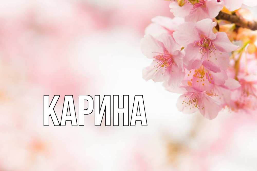 Открытка на каждый день с именем, Карина Главная С 1 мая Прикольная открытка с пожеланием онлайн скачать бесплатно 
