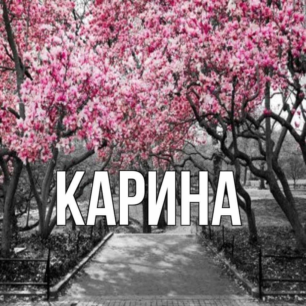 Открытка на каждый день с именем, Карина Главная обработанное фото Прикольная открытка с пожеланием онлайн скачать бесплатно 