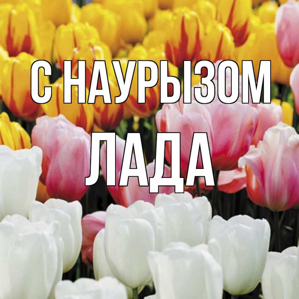 Открытка на каждый день с именем, Лада С наурызом разноцветные цветы Прикольная открытка с пожеланием онлайн скачать бесплатно 
