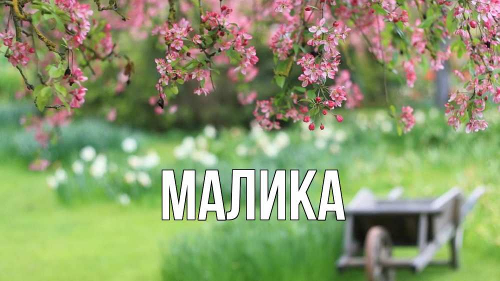 Открытка на каждый день с именем, Малика Главная С 1 мая Прикольная открытка с пожеланием онлайн скачать бесплатно 