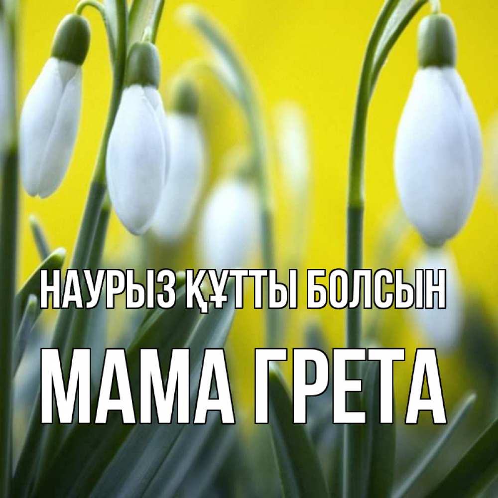 Открытка на каждый день с именем, Мама-Грета Наурыз құтты болсын весенние цветы Прикольная открытка с пожеланием онлайн скачать бесплатно 