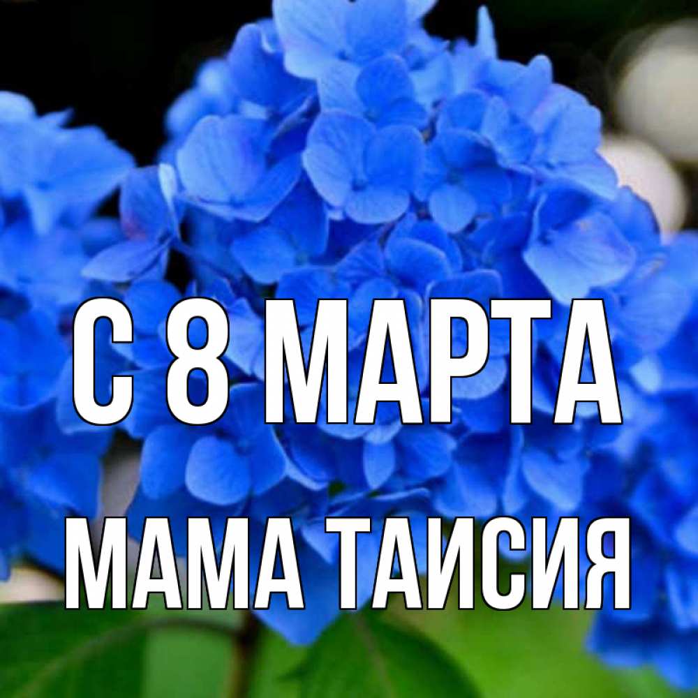Открытка на каждый день с именем, Мама-Таисия С 8 МАРТА синие цветы Прикольная открытка с пожеланием онлайн скачать бесплатно 