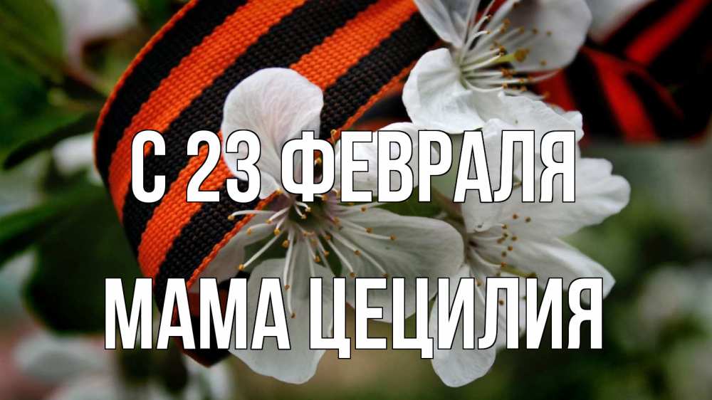Открытка на каждый день с именем, Мама-Цецилия С 23 февраля 23 февраля Прикольная открытка с пожеланием онлайн скачать бесплатно 