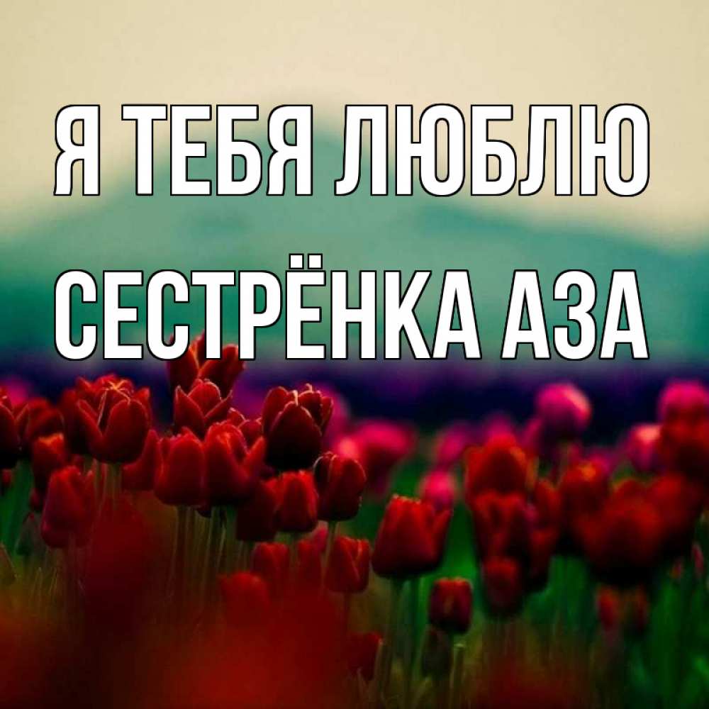 Открытка на каждый день с именем, Сестрёнка-Аза Я тебя люблю тюльпаны 4 Прикольная открытка с пожеланием онлайн скачать бесплатно 