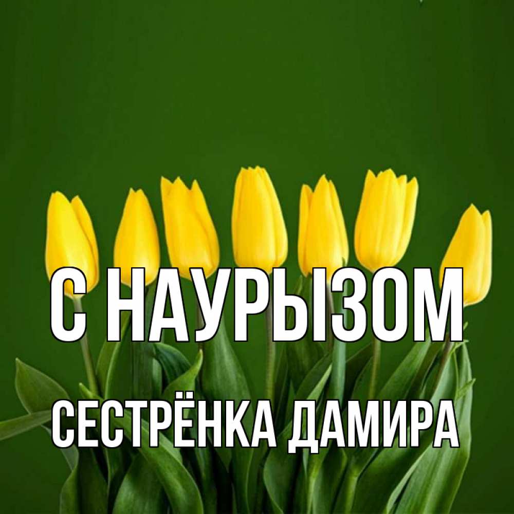 Открытка на каждый день с именем, Сестрёнка-Дамира С наурызом желтого цвета 3 Прикольная открытка с пожеланием онлайн скачать бесплатно 