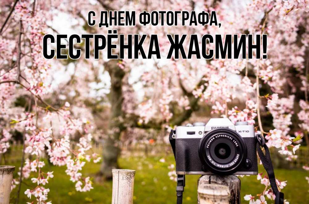 Открытка на каждый день с именем, Сестрёнка-Жасмин С днем фотографа сирень с днем фотографа, фотоаппарат Прикольная открытка с пожеланием онлайн скачать бесплатно 
