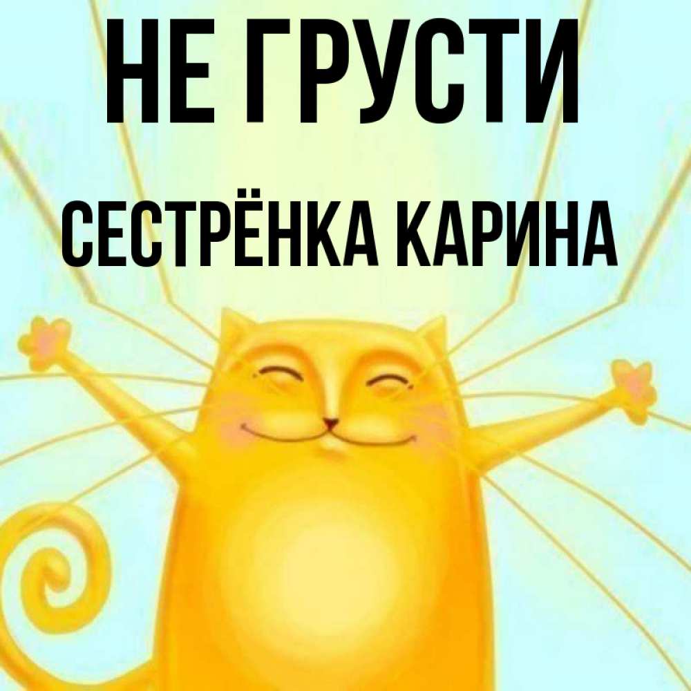 Открытка на каждый день с именем, Сестрёнка-Карина Не грусти обнимашки усатые Прикольная открытка с пожеланием онлайн скачать бесплатно 