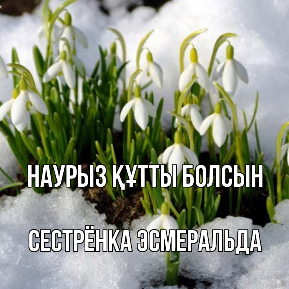Открытка на каждый день с именем, Сестрёнка-Эсмеральда Наурыз құтты болсын цветы весенние Прикольная открытка с пожеланием онлайн скачать бесплатно 