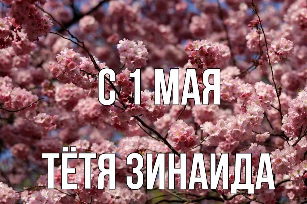 Открытка на каждый день с именем, Тётя-Зинаида С 1 мая С 1 мая Прикольная открытка с пожеланием онлайн скачать бесплатно 