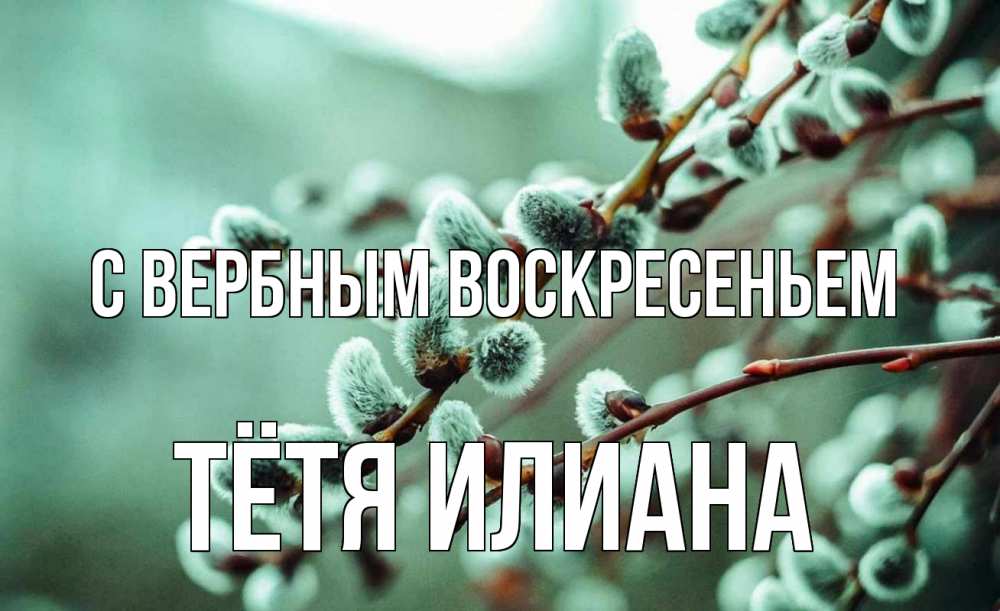 Открытка на каждый день с именем, Тётя-Илиана С вербным воскресеньем верба Прикольная открытка с пожеланием онлайн скачать бесплатно 