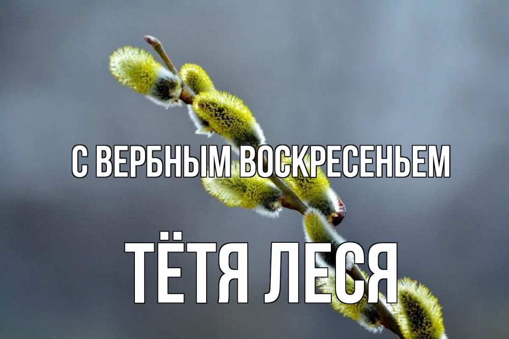 Открытка на каждый день с именем, Тётя-Леся С вербным воскресеньем верба Прикольная открытка с пожеланием онлайн скачать бесплатно 