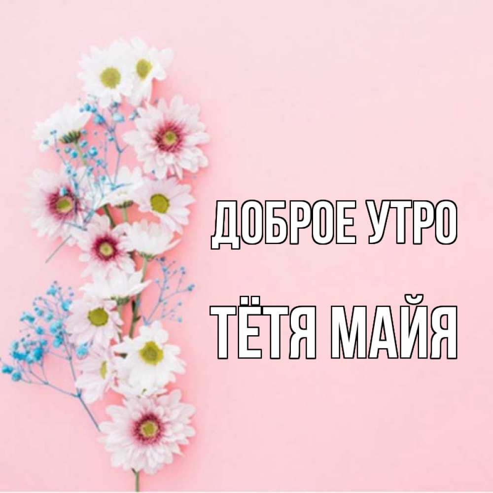 Открытка на каждый день с именем, Тётя-Майя Доброе утро цветы с подписью Прикольная открытка с пожеланием онлайн скачать бесплатно 