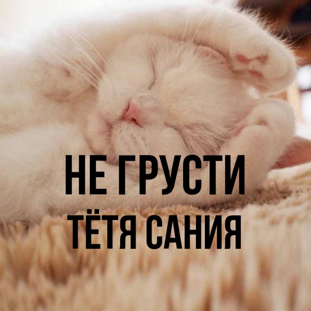 Открытка на каждый день с именем, Тётя-Сания Не грусти Котенок спит Прикольная открытка с пожеланием онлайн скачать бесплатно 