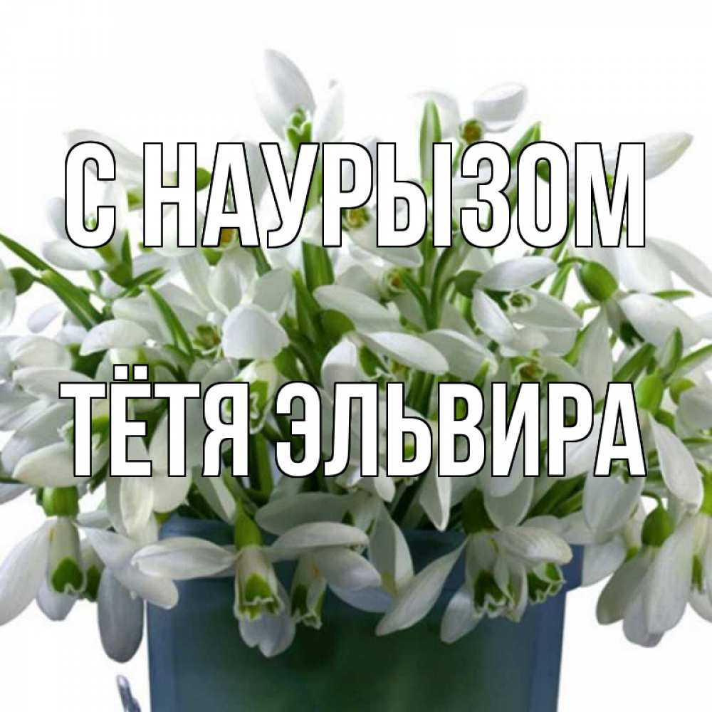 Открытка на каждый день с именем, Тётя-Эльвира С наурызом цветы к наурызу новый год в Казахстане Прикольная открытка с пожеланием онлайн скачать бесплатно 