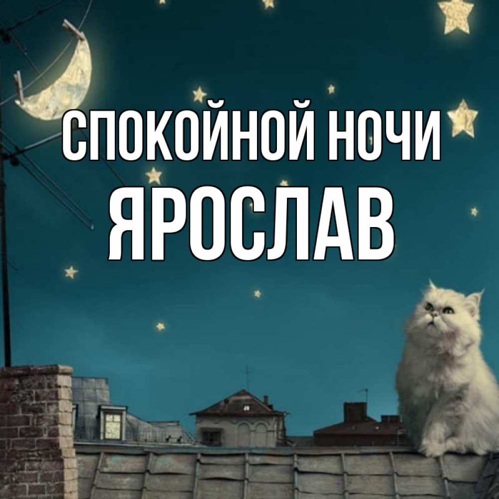 Открытка на каждый день с именем, Ярослав Спокойной ночи белый кот сидит на крыше Прикольная открытка с пожеланием онлайн скачать бесплатно 