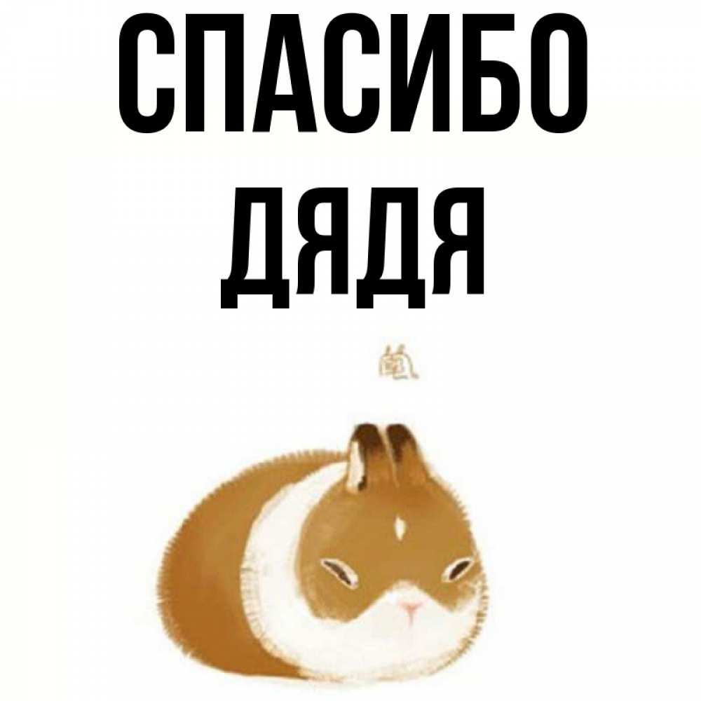 Спасибо коля картинки
