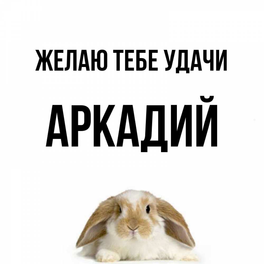Открытка на каждый день с именем, Аркадий Желаю тебе удачи открытки с произвольным текстом который можно вставить в открытку и создать ее самостоятельно бесплатно онлайн Прикольная открытка с пожеланием онлайн скачать бесплатно 