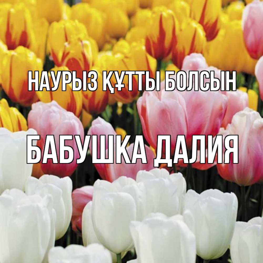 Открытка на каждый день с именем, Бабушка-Далия Наурыз құтты болсын разноцветные цветы Прикольная открытка с пожеланием онлайн скачать бесплатно 