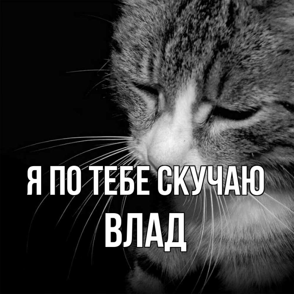 Открытка на каждый день с именем, Влад Я по тебе скучаю мне скучно Прикольная открытка с пожеланием онлайн скачать бесплатно 