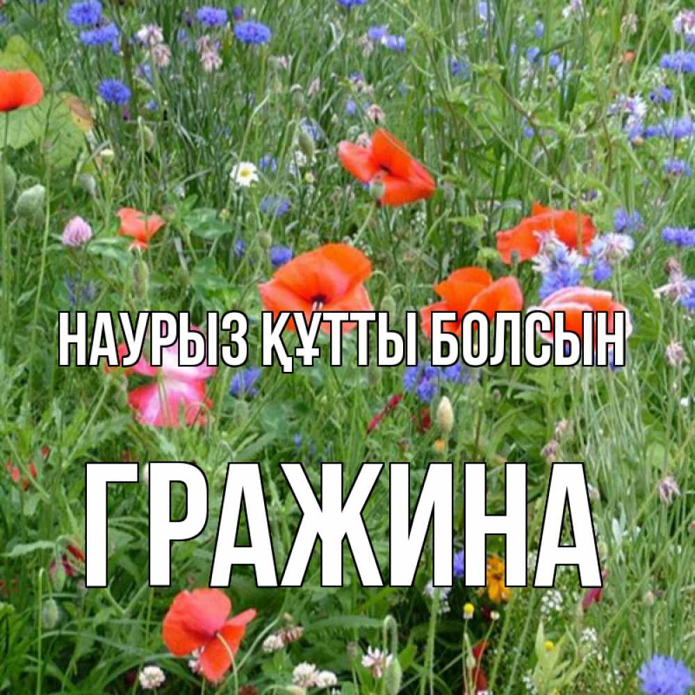 Открытка на каждый день с именем, Гражина Наурыз құтты болсын наурыз  4 Прикольная открытка с пожеланием онлайн скачать бесплатно 