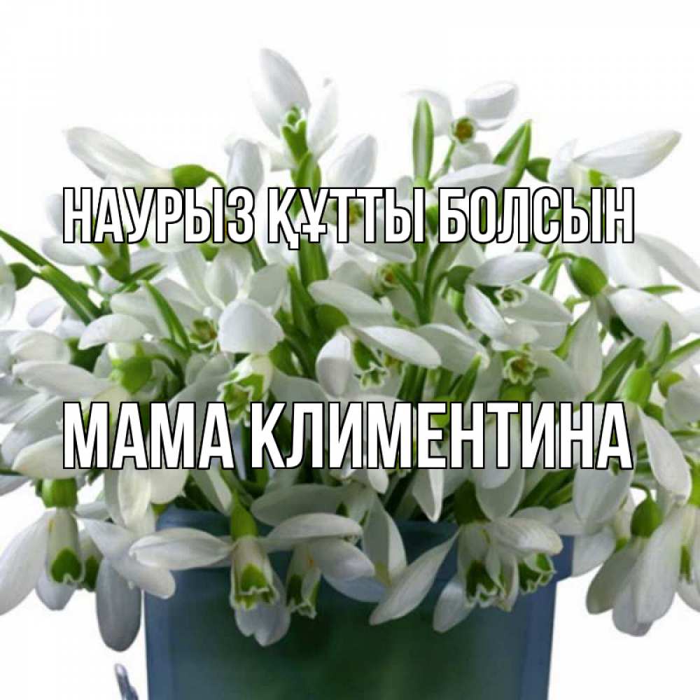 Открытка на каждый день с именем, Мама-Климентина Наурыз құтты болсын цветы к наурызу Прикольная открытка с пожеланием онлайн скачать бесплатно 