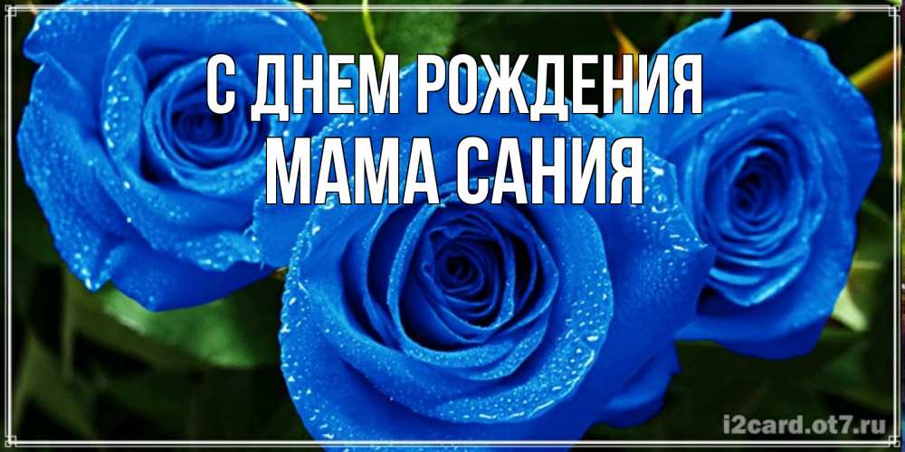 Открытка на каждый день с именем, Мама-Сания С днем рождения розы с синим цветом Прикольная открытка с пожеланием онлайн скачать бесплатно 
