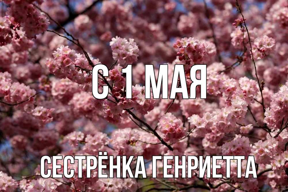 Открытка на каждый день с именем, Сестрёнка-Генриетта С 1 мая С 1 мая Прикольная открытка с пожеланием онлайн скачать бесплатно 