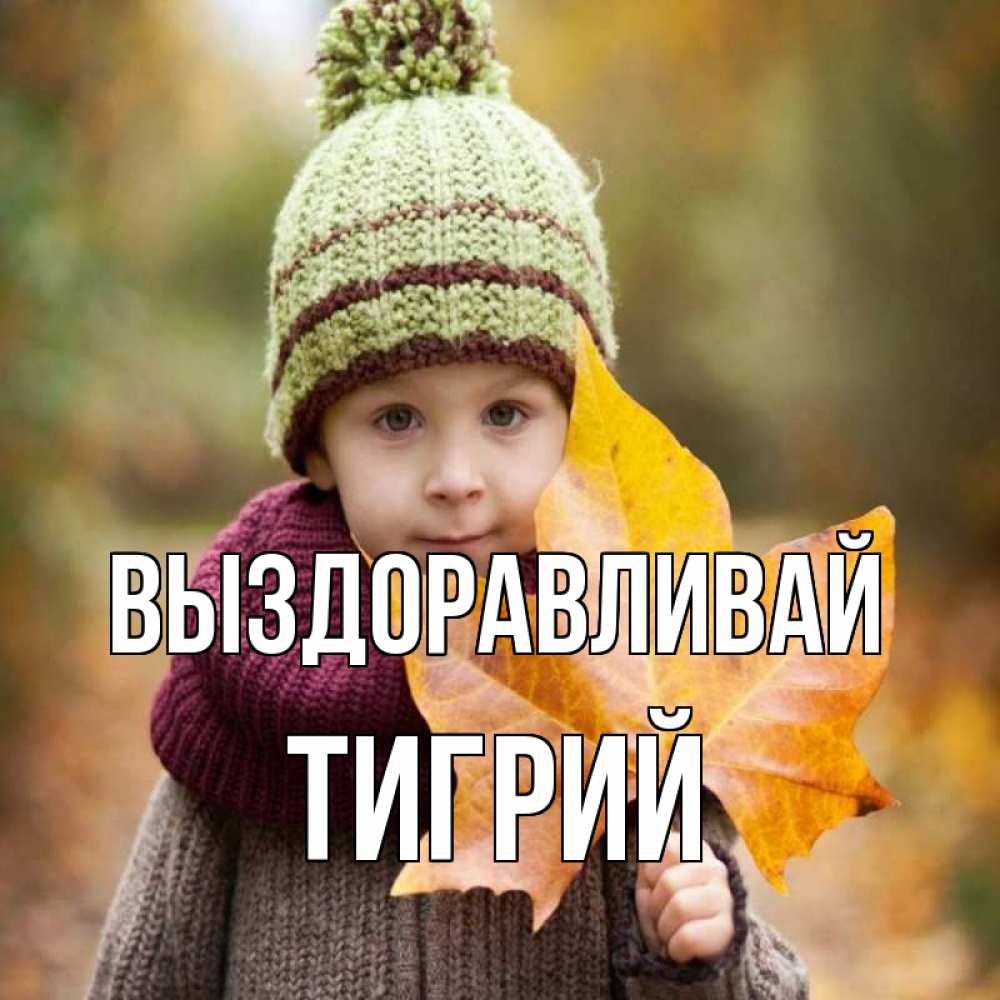 Открытка на каждый день с именем, Тигрий Выздоравливай дышим свежим воздухом Прикольная открытка с пожеланием онлайн скачать бесплатно 