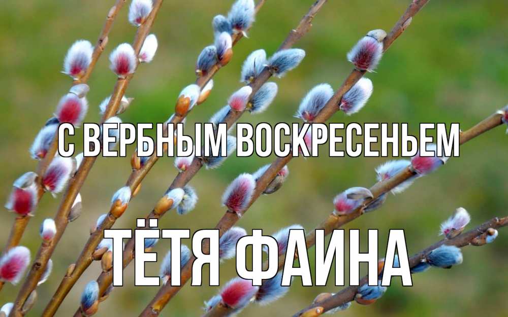 Открытка на каждый день с именем, Тётя-Фаина С вербным воскресеньем верба Прикольная открытка с пожеланием онлайн скачать бесплатно 