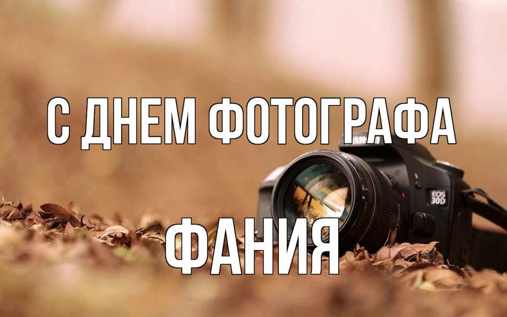 Открытка на каждый день с именем, Фания С днем фотографа с днем фотографа Прикольная открытка с пожеланием онлайн скачать бесплатно 